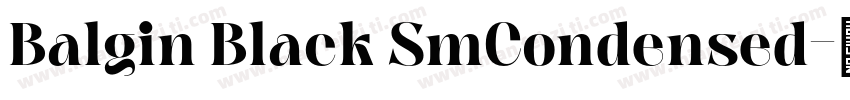 Balgin Black SmCondensed字体转换